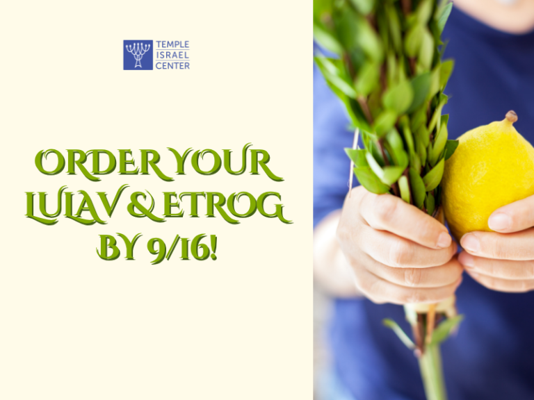 Lulav and etrog Order 2026 (800 x 600 px)